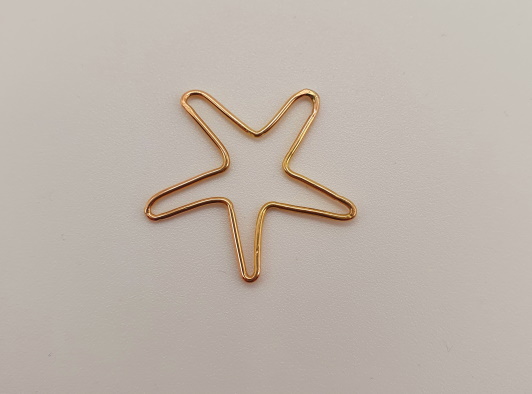 Pendentif Etoile de mer